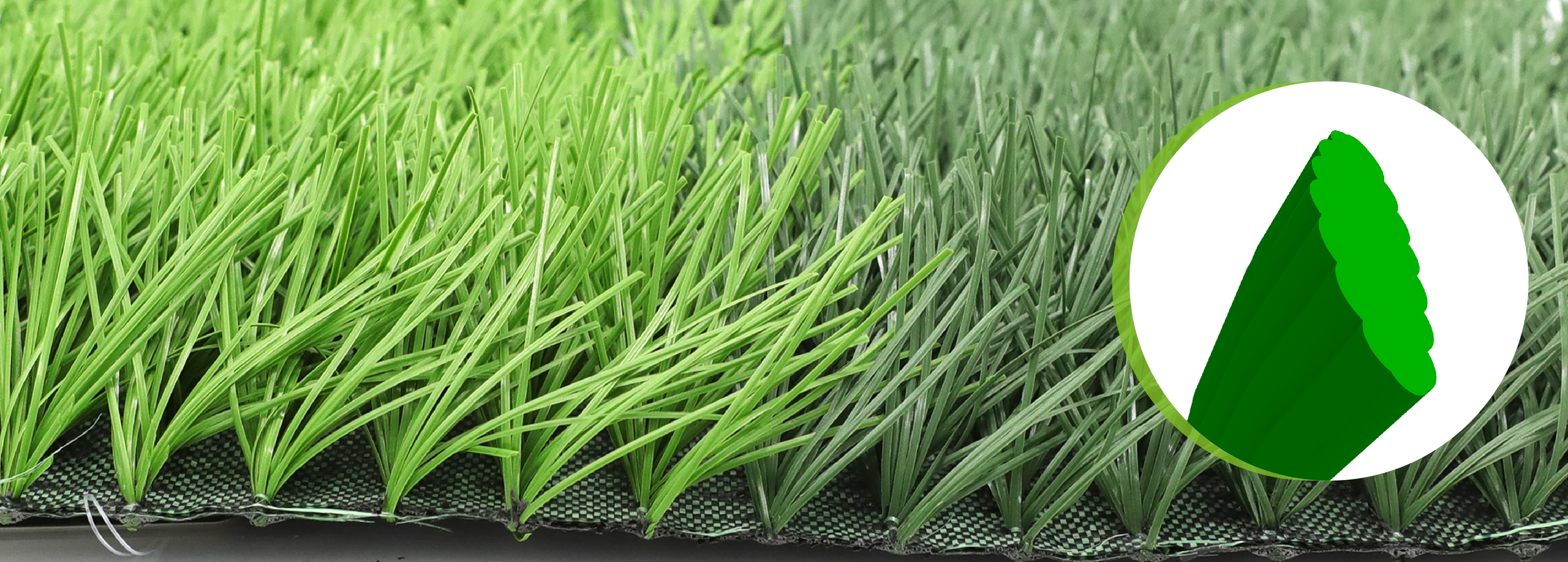 Bellin Nobles/Dream F680140