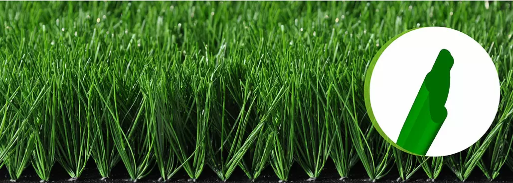 Bellin-Evolution 60160T