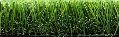 Bellin-Fuerte Pro D60